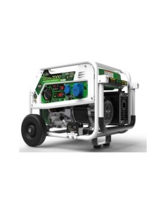 GENERADOR DUAL GENERGY NATURA 7000 GAS/GASOLINA