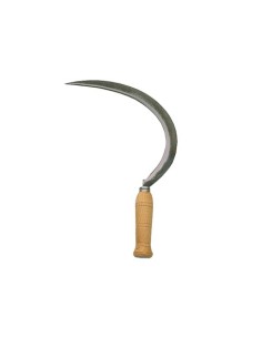 HOZ DENTADA / 2550