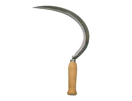 HOZ DENTADA / 2550