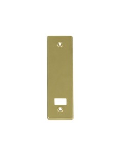 EMBELLECEDOR ALUMINIO ORO 222X65MM AMIG