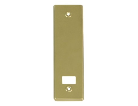 EMBELLECEDOR ALUMINIO ORO 222X65MM AMIG
