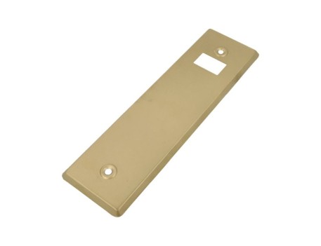EMBELLECEDOR ALUMINIO ORO 222X65MM AMIG
