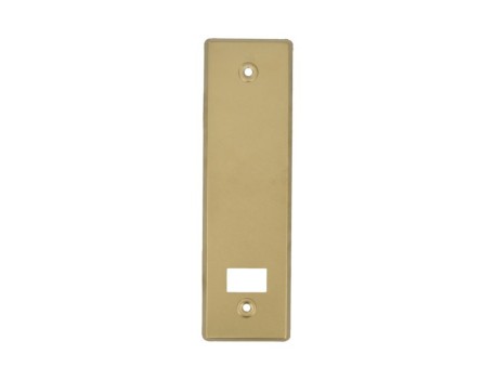 EMBELLECEDOR ALUMINIO ORO 222X65MM AMIG