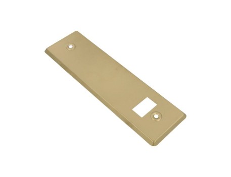 EMBELLECEDOR ALUMINIO ORO 222X65MM AMIG