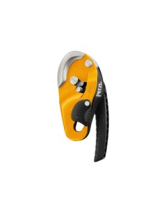 D021AA00 RING DESCENSOR
