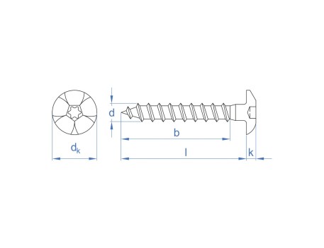 TORNILLO INVOLIABLE TORX 40 ZINCADO 7X90 MM INDEX