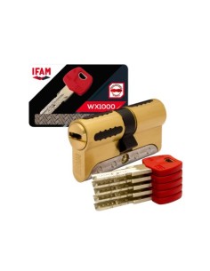 CILINDRO DE SEGURIDAD IFAM WX1000 30X40 MM 1000WX3040L
