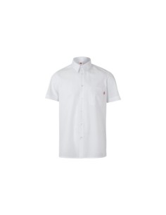 CAMISA MANGA CORTA BLANCA VELILLA 531