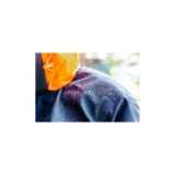 CHAQUETA SOFTSHELL CHELSEA EVOLUTION HELLY HANSEN