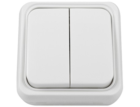 DOBLE INTERRUPTOR SERIE 65 10A