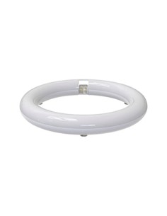 TUBO T9 TRIFOSF CIRCULAR 22W 6500K HEPOLUZ