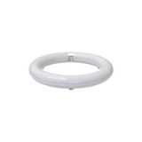 TUBO T9 TRIFOSF CIRCULAR 22W 6500K HEPOLUZ