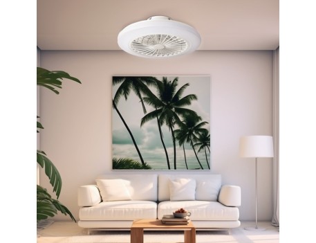 VENTILADOR DE TECHO BOX FAN CON LUZ Y MANDO DISTANCIA