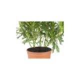 CINTA AUTOADHERENTE REUTILIZABLE 9MMX3M NEGRA