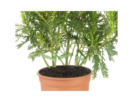 CINTA AUTOADHERENTE REUTILIZABLE 9MM X 3M VERDE