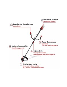 DESBROZADORA BATERÍA 36V GP-BC 36/430 LI BL SOLO 2