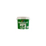 PINTURA PLÁSTICA SATINADA BLANC DECOR EMUCRIL 12L