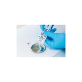 RESINA EPOXI RÁPIDA BICOMPONENTE 24ML WEICON