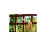 INSECTICIDA PREBEN AVISPEROS AEROSOL 250ML